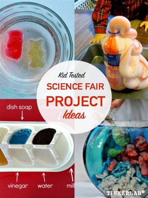 Our Mission and more Information about Science Buddies.